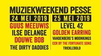 2019-05-25 Pesse Muziek weekend festival ad